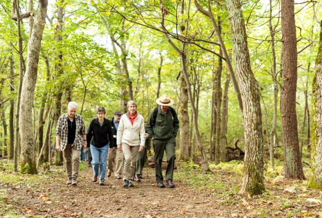 Group of friends walking a forest trail